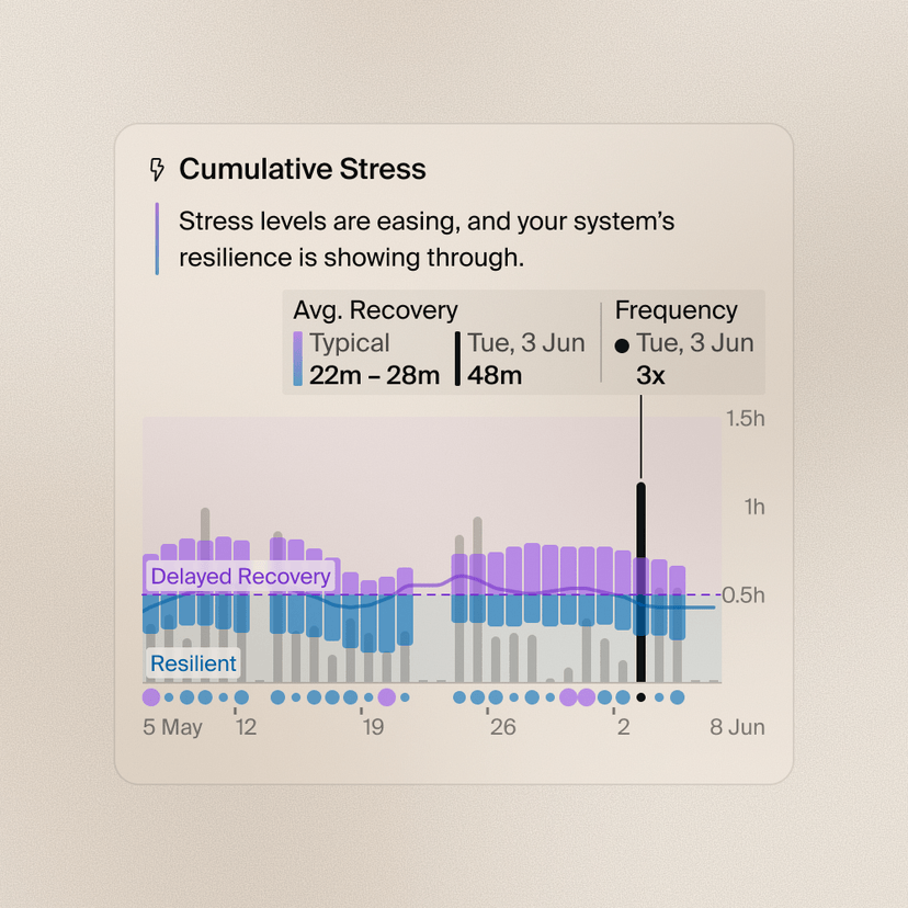 Cumulative stress recovery & frequency